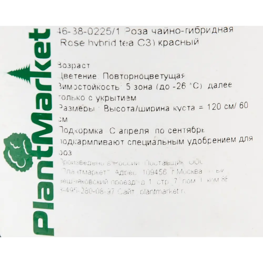 Роза чайно-гибридная красная 15x55 см 82625112 STLM-2144641 PLANTMARKET  - Вид №1