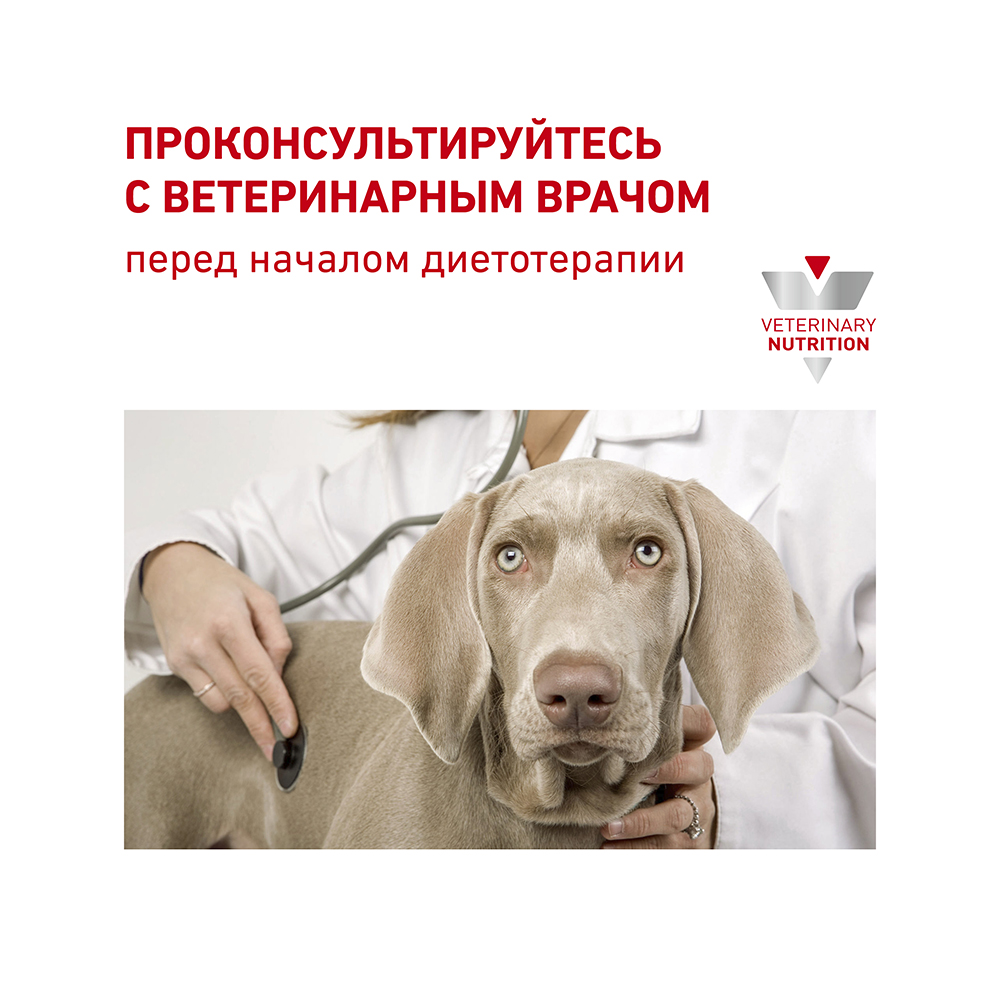Т0023215 Корм для собак Vet Diet Urinary S/O LP18 при мочекаменной болезни сух. 14кг ROYAL CANIN  - Вид №9