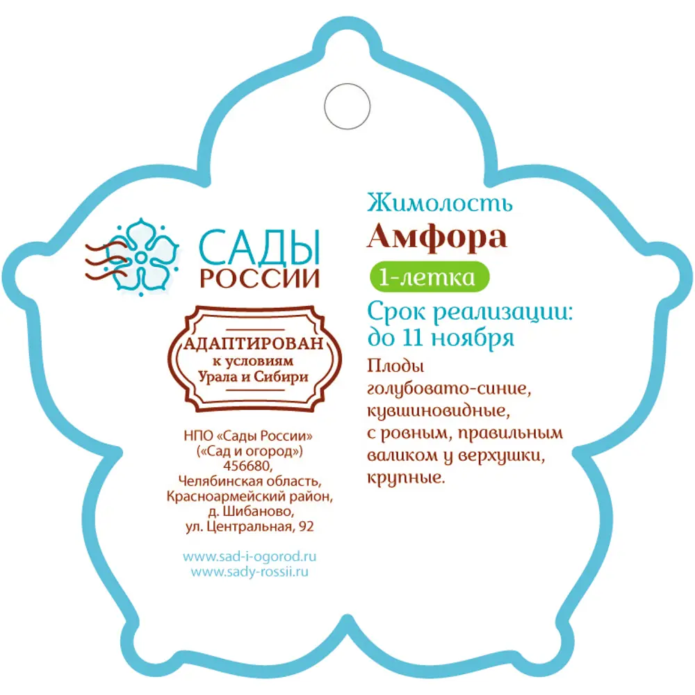 Жимолость «Амфора» 1 год 12.5x30-50 см 82610435 STLM-2178106 Santreyd  - Вид №1