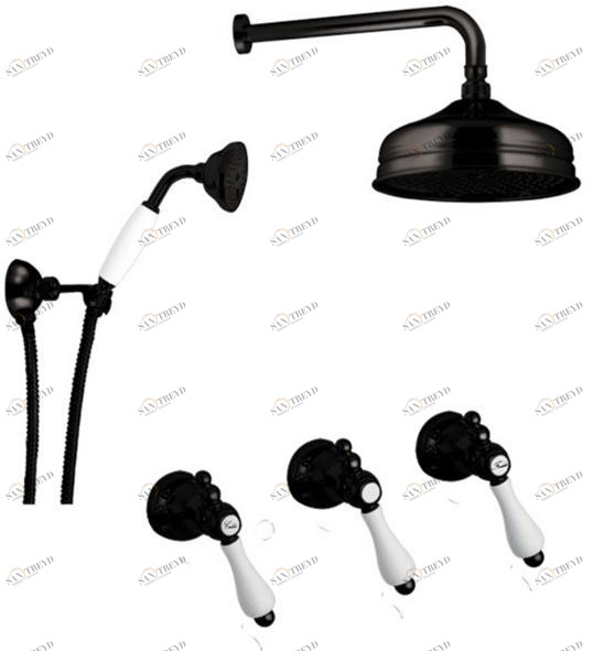 Rubinetteria Giulini Душевой набор с переключателем и лейкой Classic revolution - praga F7516w2kbce