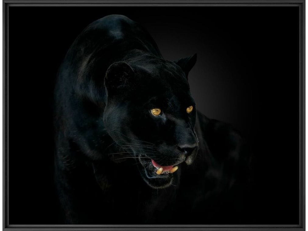 Печать фотографий на бумаге YellowKorner животное ARCH-00022559 - Вид №1