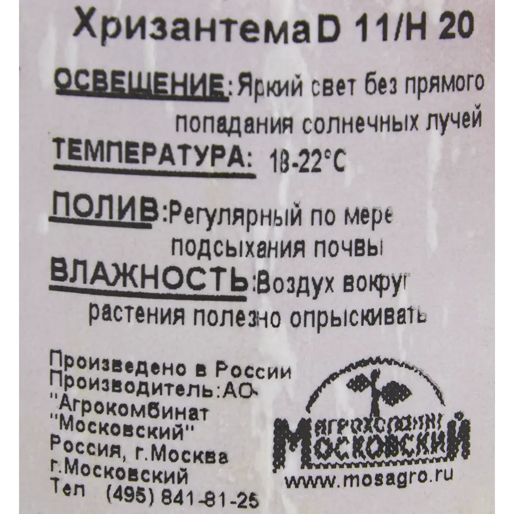 Santreyd Хризантема - цветущее украшение вашего дома 15983311 STLM-1543838 - Вид №3