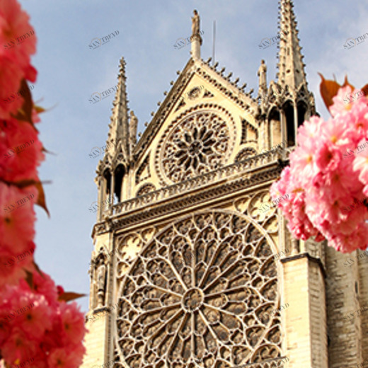 C1-265 Фотообои DIVINO Collection C 2.7х1 м C1265