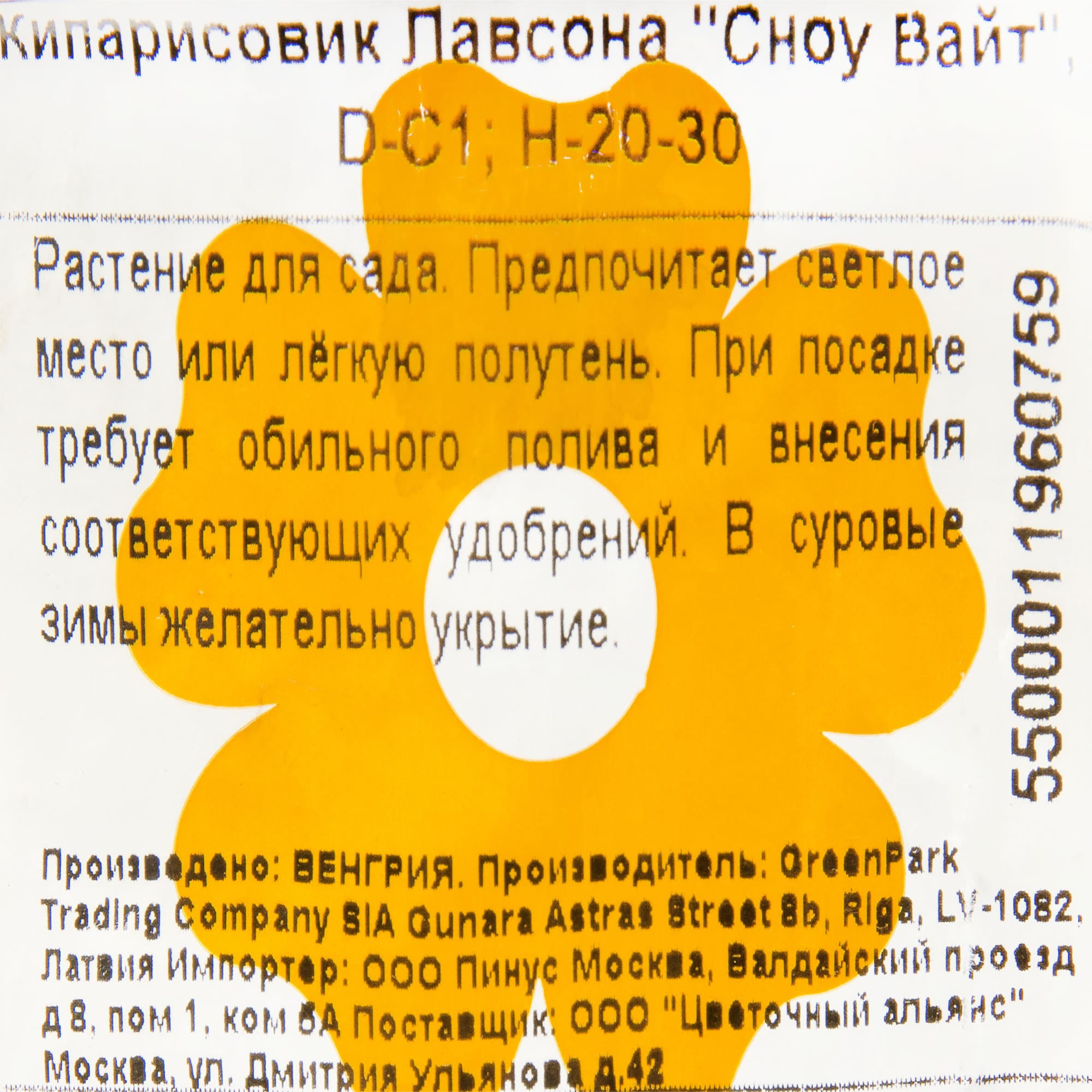 82176391 Кипарисовик Лавсона «Сноу Вайт» 1 л 20-30 см Santreyd  - Вид №1