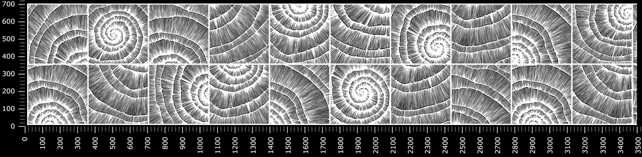 Стеновые панели - Шелл лайт LIGRON LIST95 2184 - Вид №1