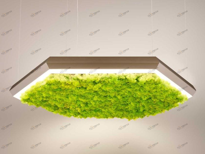 Olev Светодиодный подвесной светильник в лишайнике sun-id-1402401