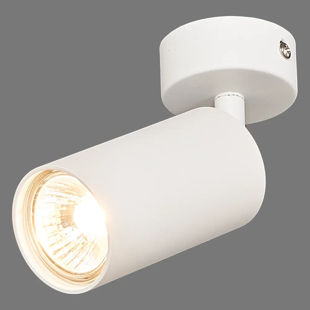 Arte Lamp Arius — поворотный спот для акцентного освещения 82138002 STLM-0020143 - Вид №2