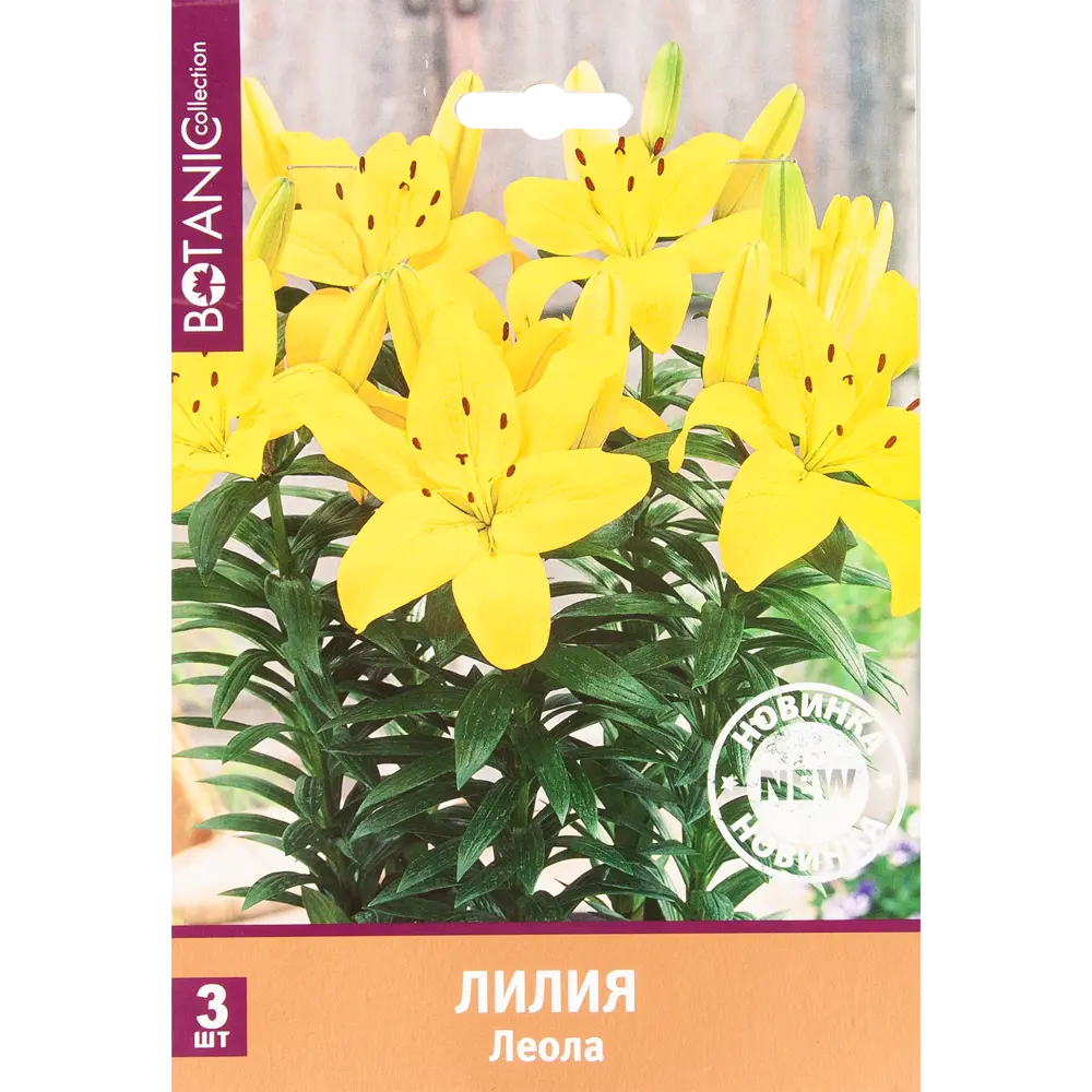 Лилия Леола 12/14, 3 шт 82539356 STLM-2161600 Santreyd 