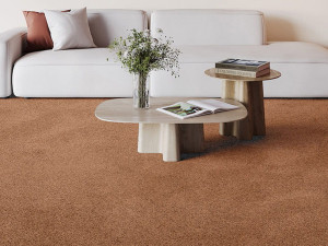 Ковер / Ковер