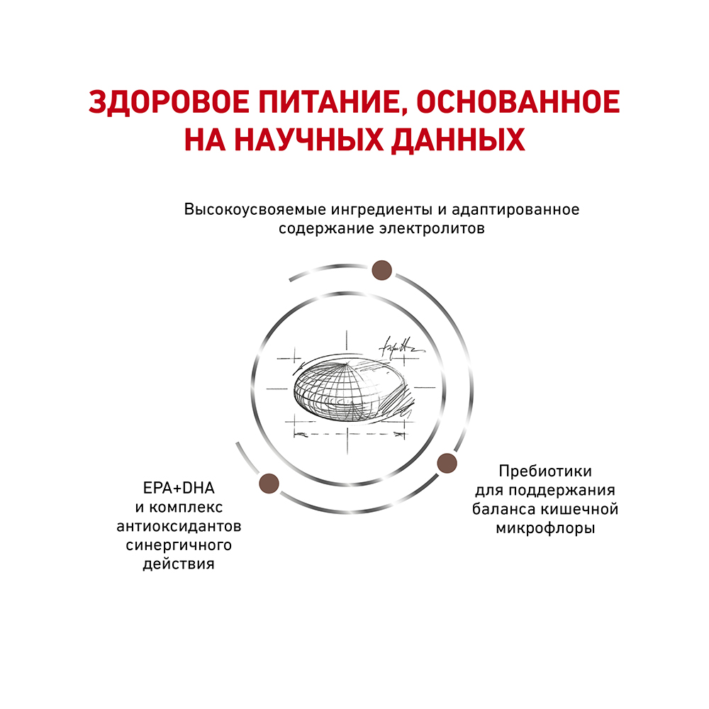 Т0045241 Корм для кошек Vet Diet Gastro Intestinal Moderate Calorie GIM35 при наруш.пищев., птица сух. 400г ROYAL CANIN  - Вид №3