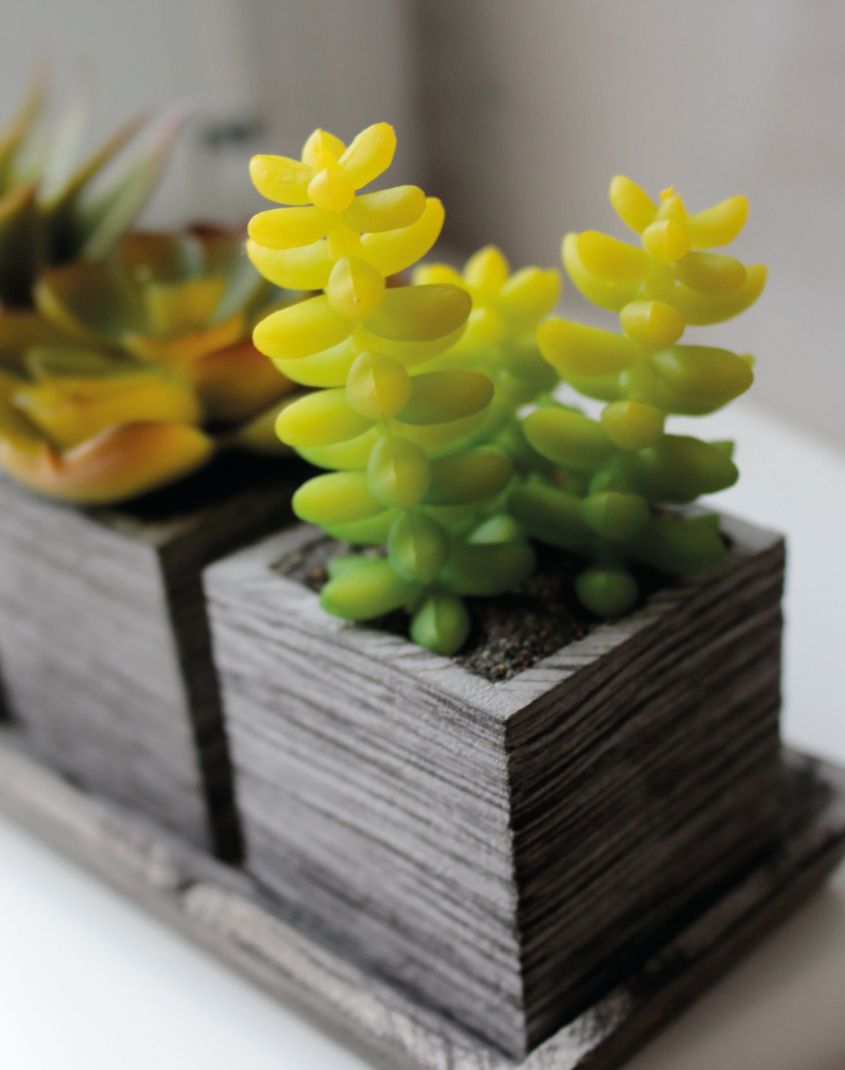 6453 883 a3 Пластиковый микс суккулентов, 3 штуки на миске, 19 x 7 x 11 см, зеленый H-andreas  - Вид №4