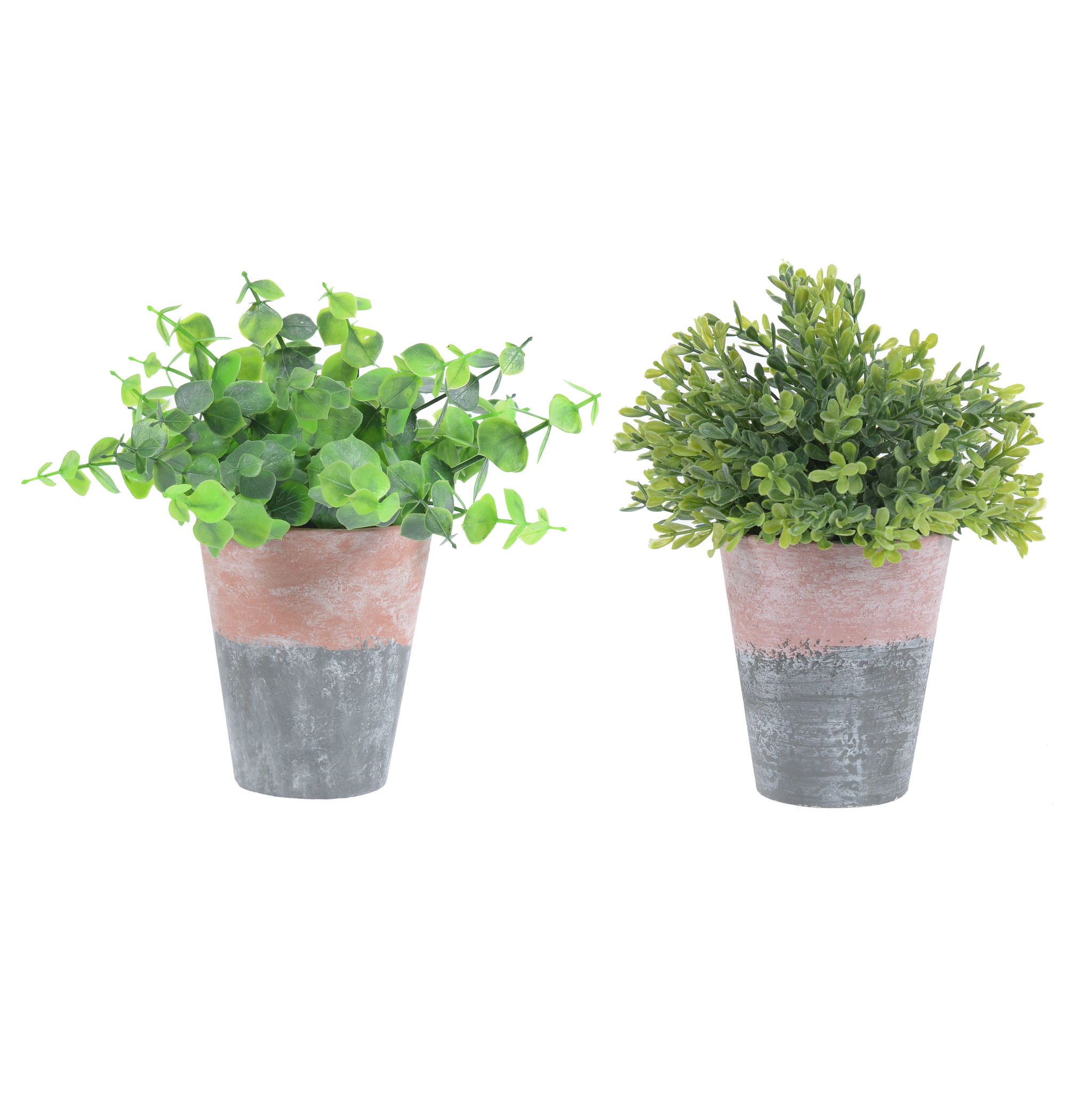 3885475.0095 Керамический горшок с листьями (в ассортименте) TO4ROOMS  - Вид №1