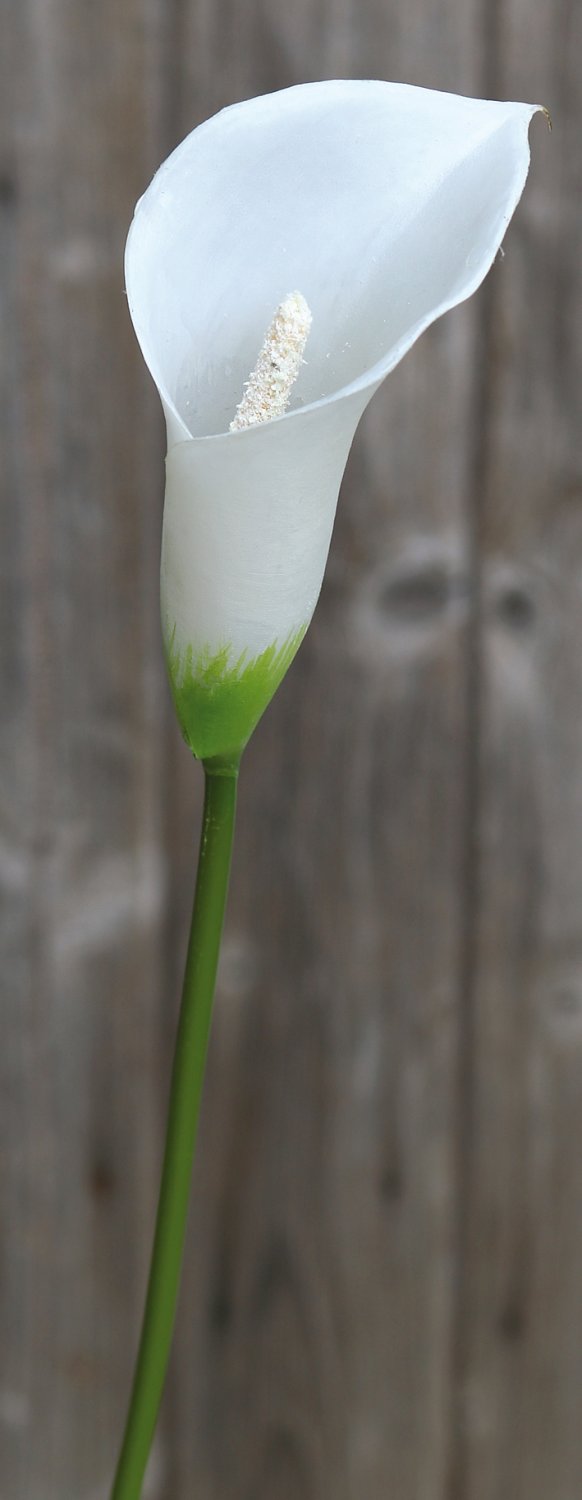 3975 777 a1 Искусственный цветок калла лилия, синтетический материал, 65 см, белый H-andreas  - Вид №3