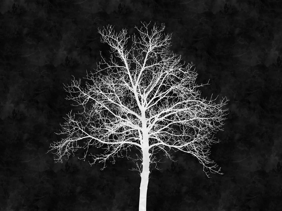 Обои с цифровой печатью Architects Paper Walls by Patel ARCH-00132172