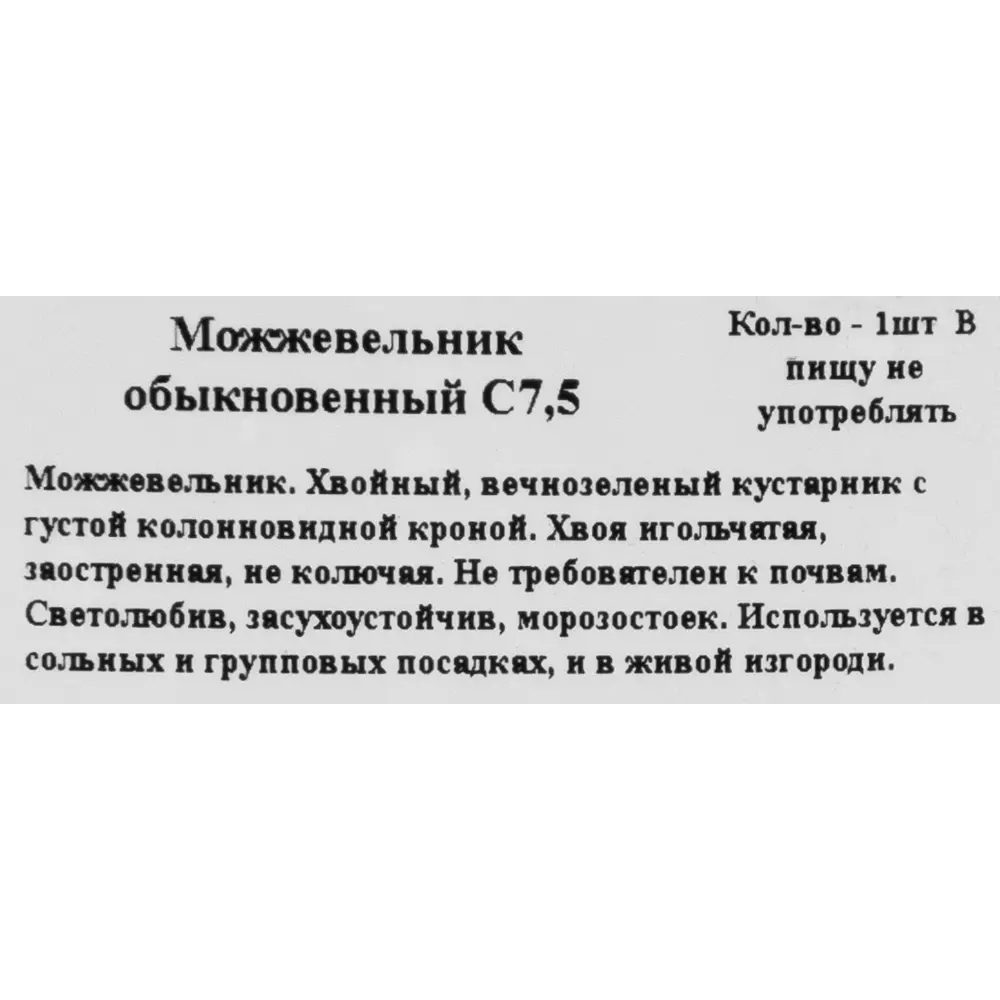 Можжевельник обыкновенный 22x80 см ГАВРИШ STLM-2135403 - Вид №1