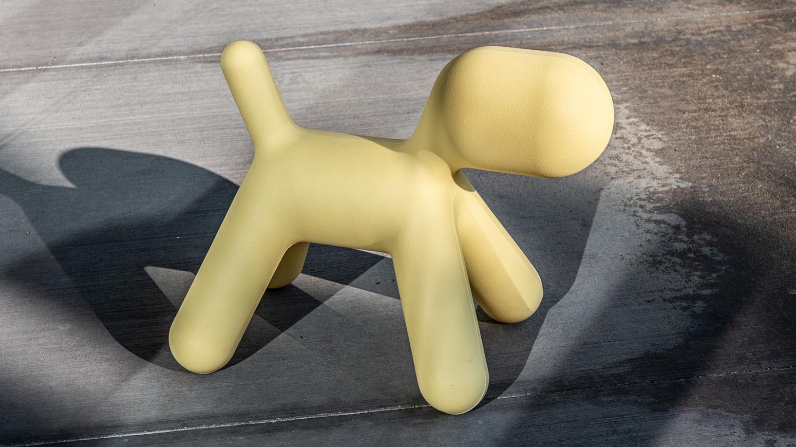 Щенок Magis sun-id-1328995 - Вид №15