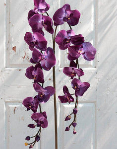 2818 222 a3 Искусственная орхидея Phalaenopsis (2 метелки), 150 см, темно-фиолетовая H-andreas