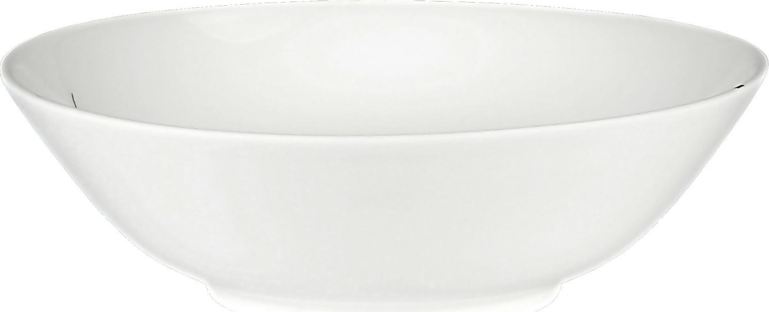 71200 Dibbern Салатник Dibbern "Чёрный лес" 21см Фарфор костяной 