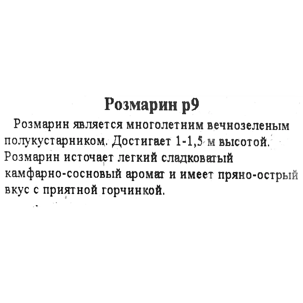 Santreyd Розмарин - средиземноморская ароматная зелень для дома и сада 83248599 STLM-0956335 - Вид №1