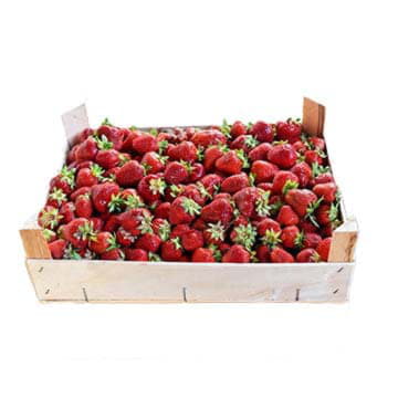 Клубника Белоруссия в ящике ~4 кг Santreyd 26563