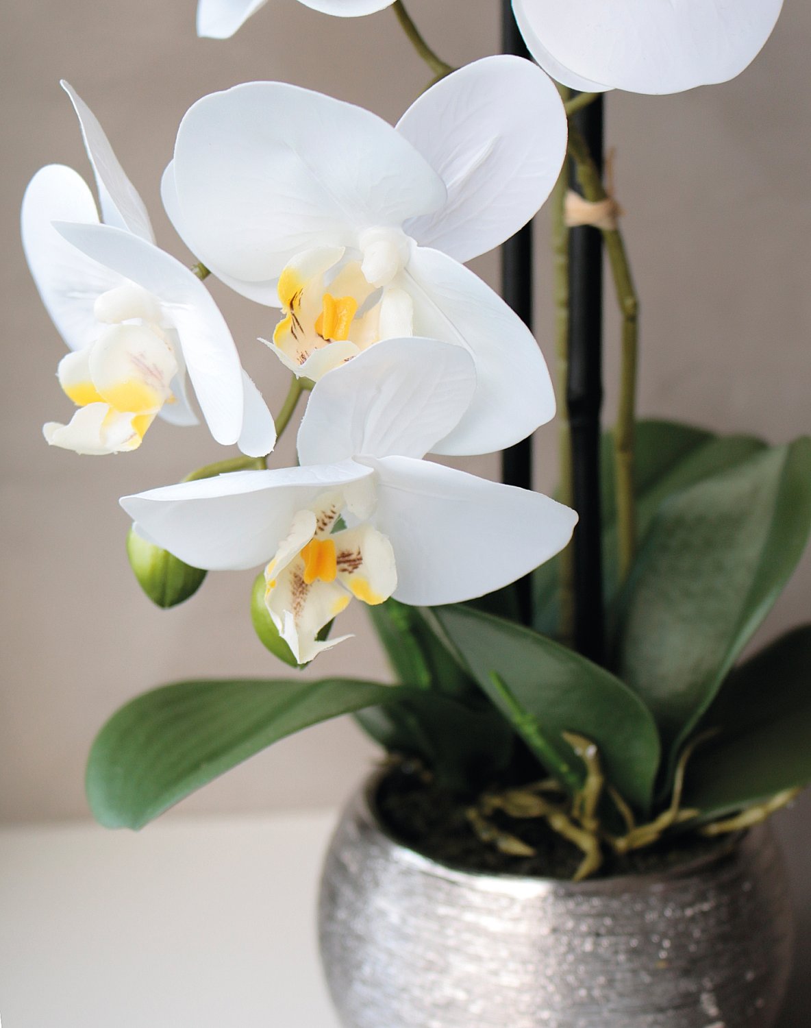2777 778 a3 Пластиковая орхидея Phalaenopsis, 2-х кратная, горшечная, 45 см, real touch, бежево-белая H-andreas  - Вид №9