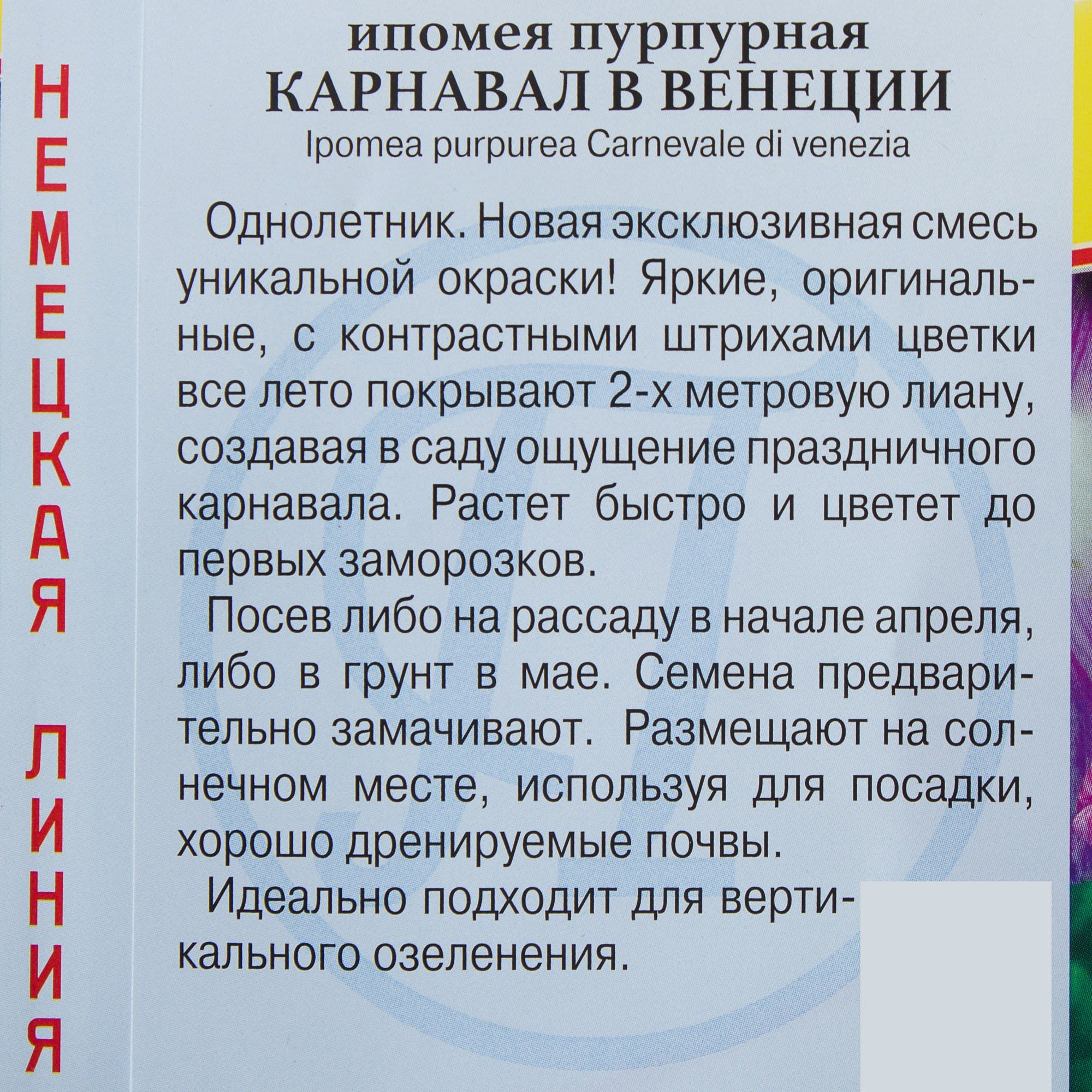 81931605 Ипомея «Карнавал в Венеции» Santreyd  - Вид №2