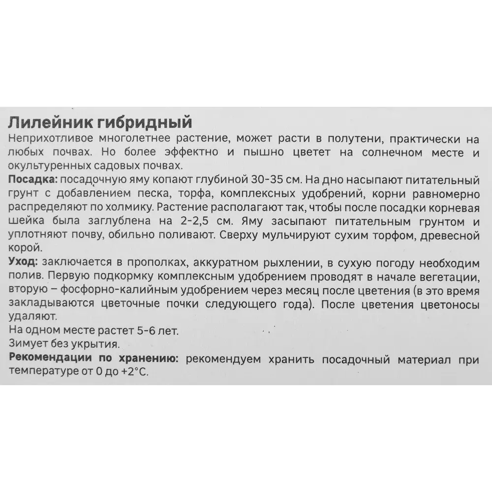 Лилейник Geolia гибридный Жан Свон 86408696 STLM-2194094  - Вид №3