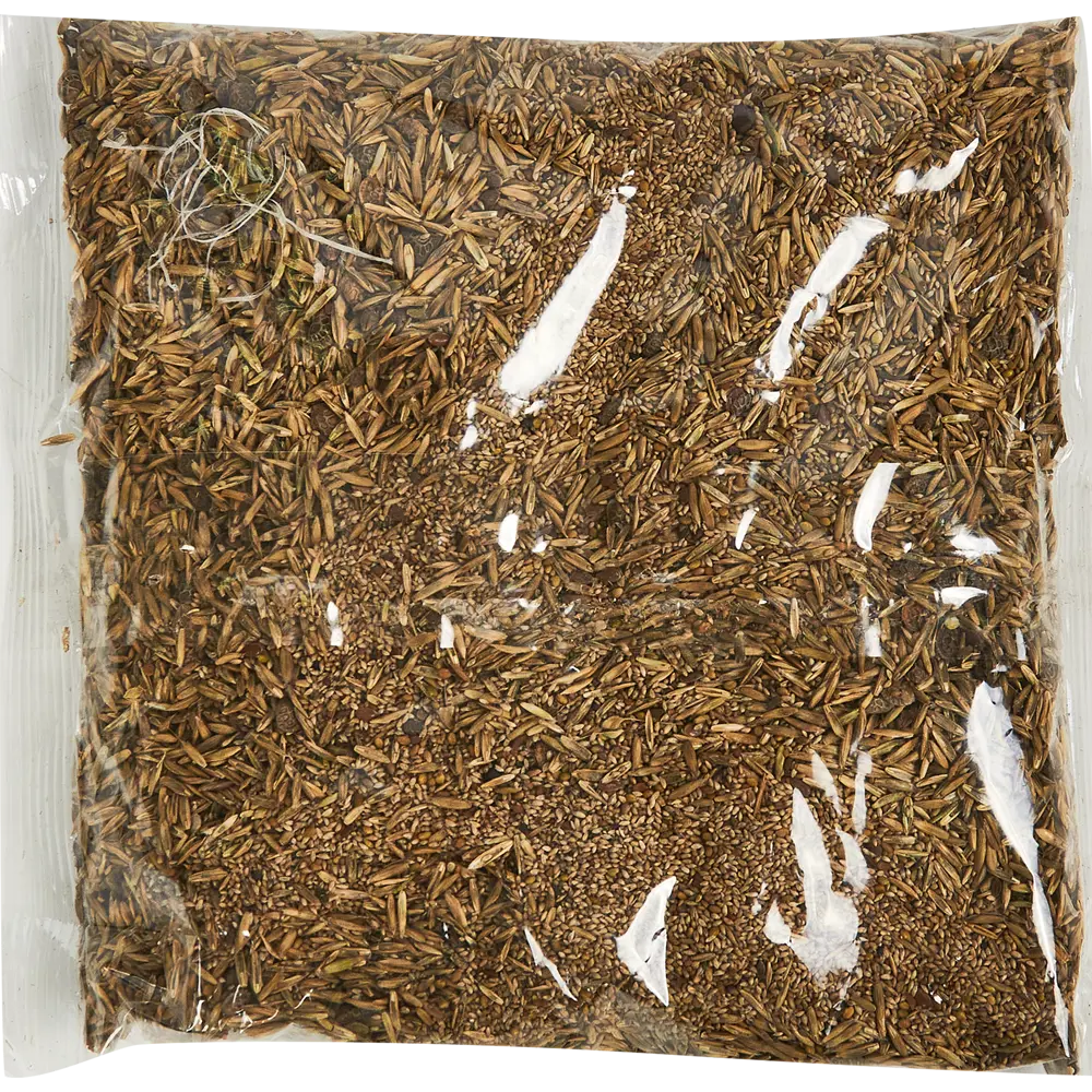 ГАЗОНCITY Цветущий газон - райграс для живого ковра 86261894 STLM-0067363 - Вид №1