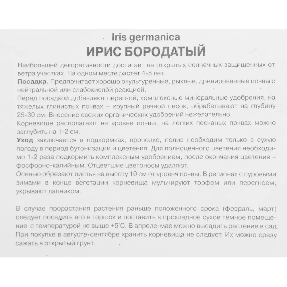 Ирис бородатый Момаквин 85204803 STLM-2030855 ПОИСК  - Вид №2