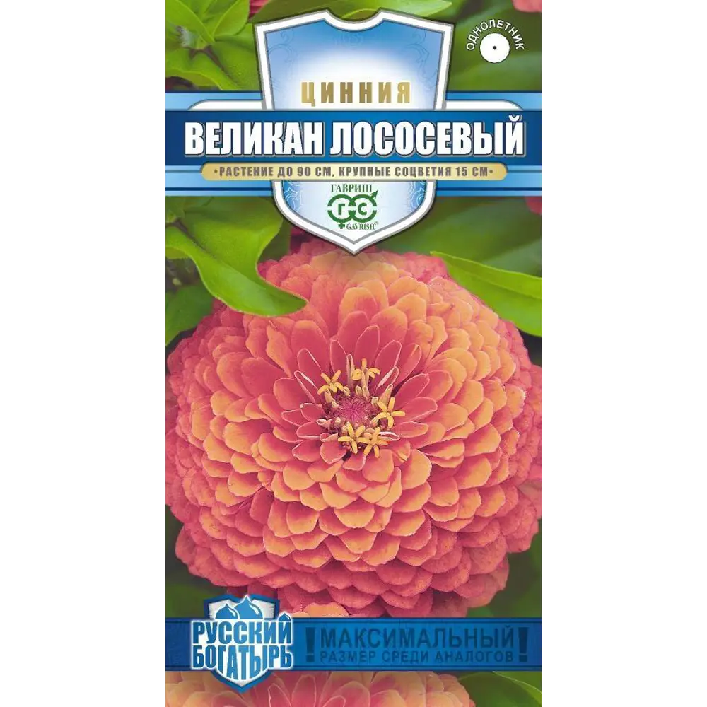 Семена циннии Великан лососевый ГАВРИШ - однолетние цветы для сада 89401740 STLM-1577427