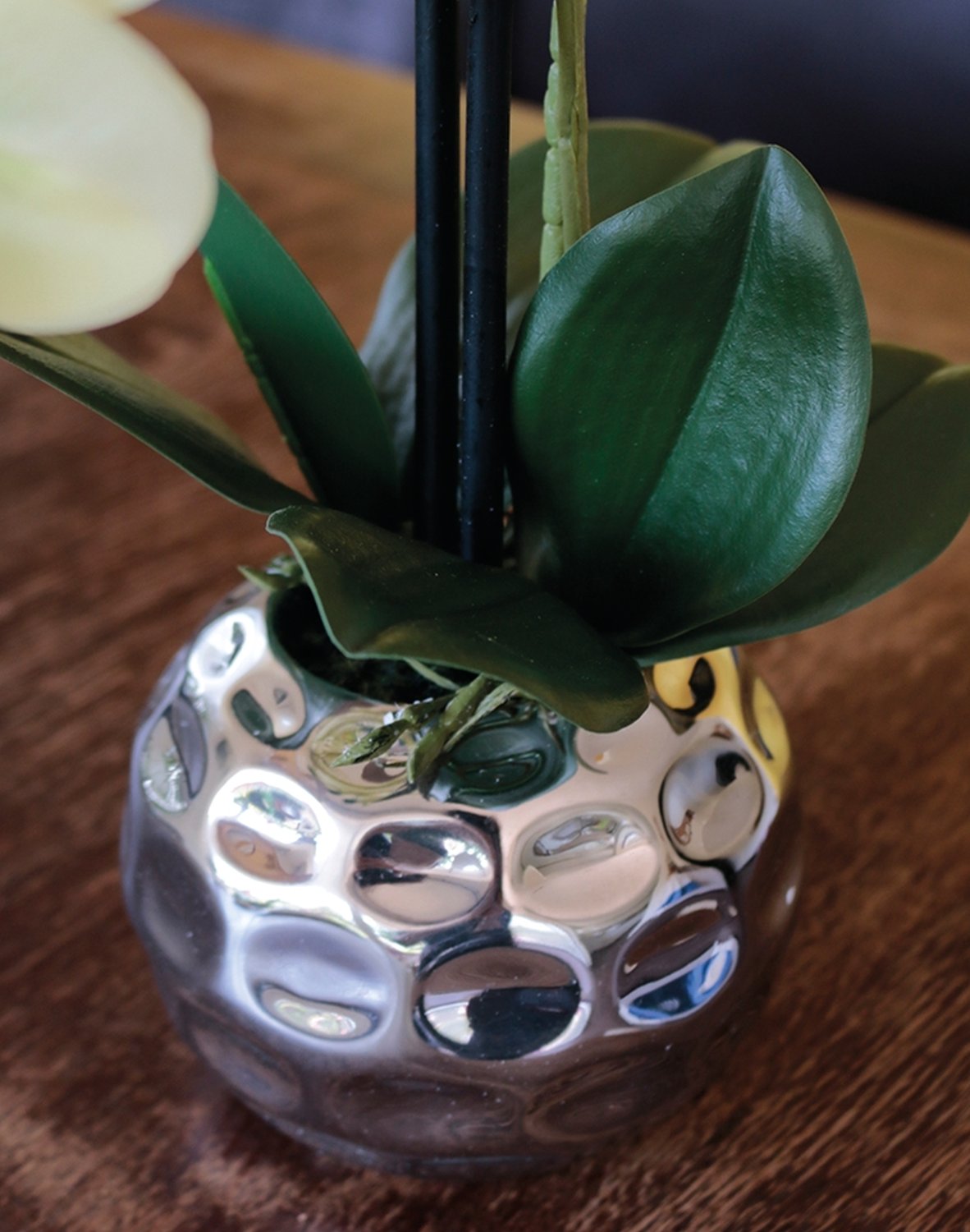 2772 788 a3 Пластиковая орхидея Phalaenopsis, 2-х кратная, горшечная, 45 см, real touch, бежево-зеленая H-andreas  - Вид №5