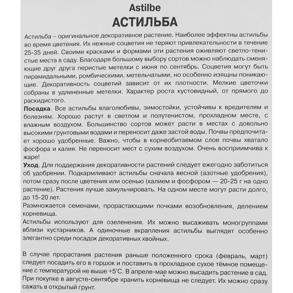 Астильба Арендса Лаки Дей 85186009 STLM-2146424 ПОИСК  - Вид №2