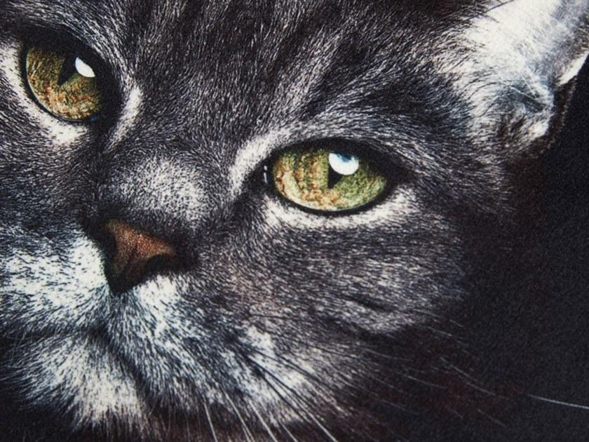 Koziel Квадратная подушка  9997-64  - Вид №1