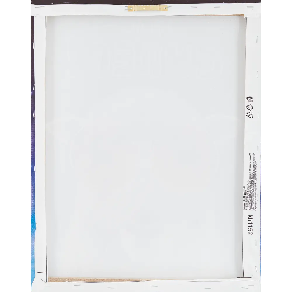 Картина на холсте Ты супер! 40х50 см Santreyd STLM-2009319 - Вид №2