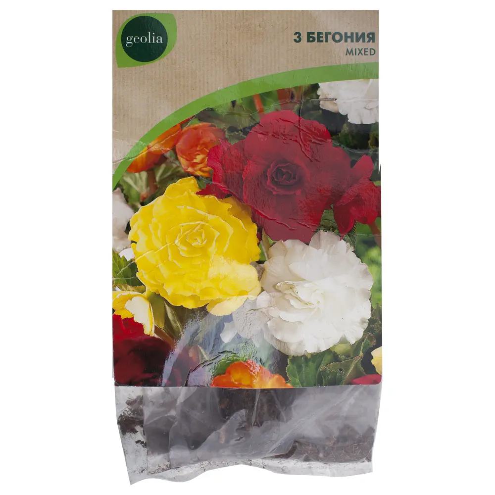 Бегония Geolia «double Mixed», 4х5 см 15548790 STLM-2016816 