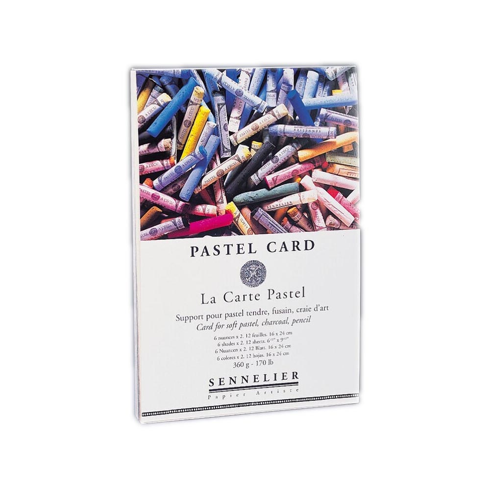 136753 Альбом-склейка для пастели "Pastel Card" 360 г/м2 16 х 24 см склейка Sennelier 