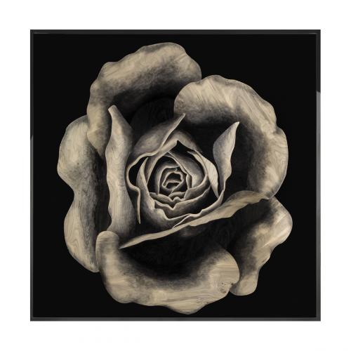 Rosa Fossile Произведение искусства из ископаемого дерева Visionnaire 