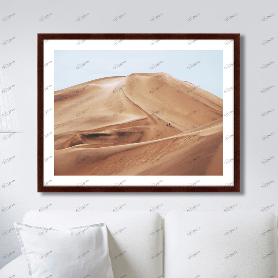 Арт-фотография в деревянной раме 78,5х100 см Namib Desert КАРТИНЫ В КВАРТИРУ  264794 Белый;коричневый;разноцветный 
