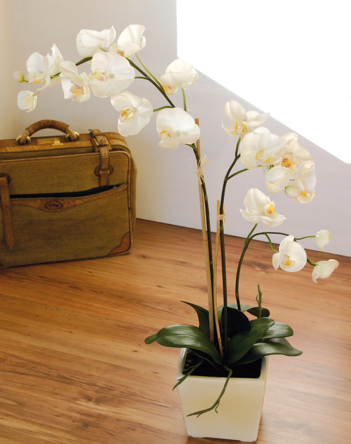 2505 777 a3 Искусственная орхидея Phalaenopsis, горшечная, 110 см, real touch, белая H-andreas  - Вид №1