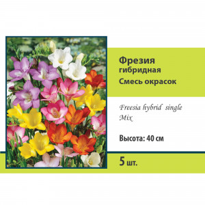 83597219 Фрезия гибридная микс луковица 5/6