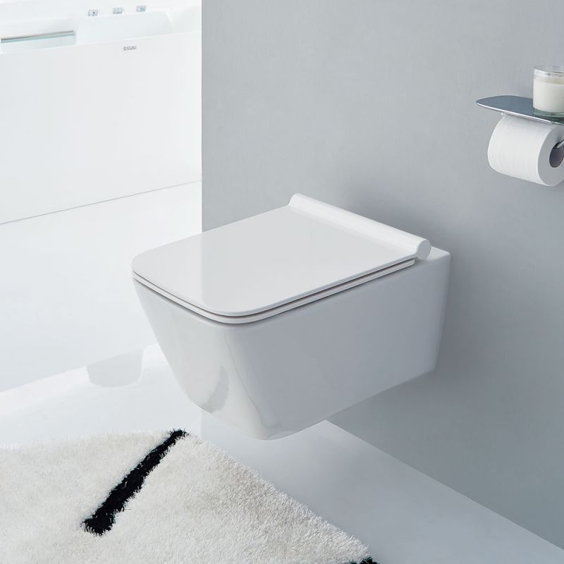 CT2041 Подвесной унитаз SSWW CT 