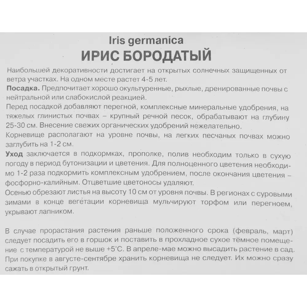 Ирис бородатый Эдит Уолфорд ПОИСК STLM-2162798 - Вид №2