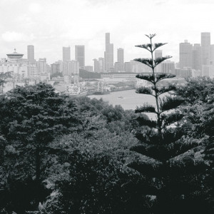 0117/CX38 Картина 0117 Adriani e Rossi