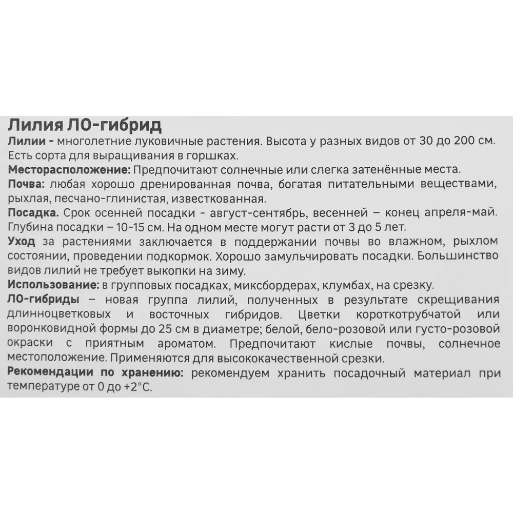 Лилия ло-гибрид Беллсонг 86408641 STLM-2040115 Santreyd  - Вид №3