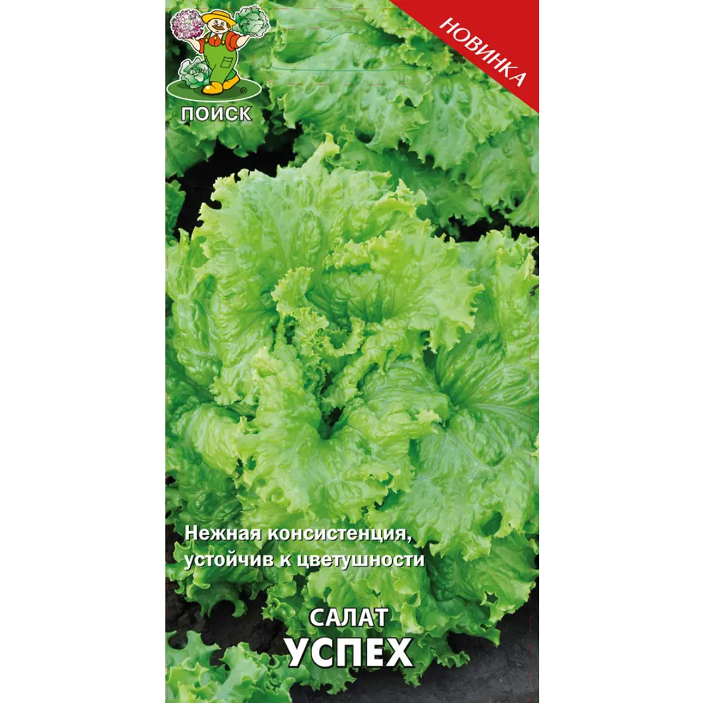 Семена салата «Успех» от ПОИСК — пышная листовая зелень для вашего стола 83227426 STLM-1347955
