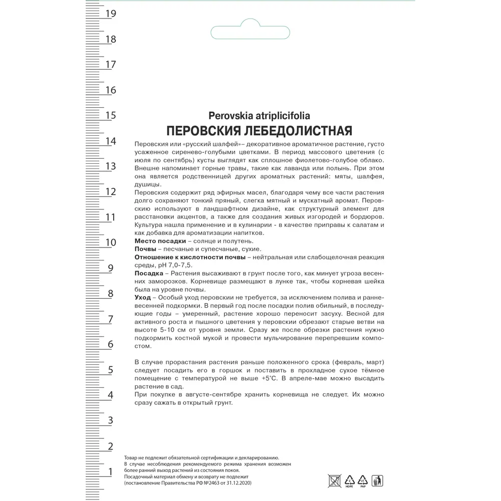 Перовския лебедолистная Тайга ПОИСК STLM-2094754 - Вид №1