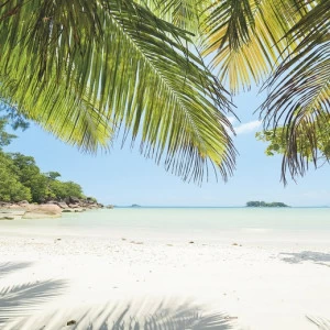 SH028-VD2-Under-The-Palmtree Фотообои Komar Stefan Hefele 1.5х2 м