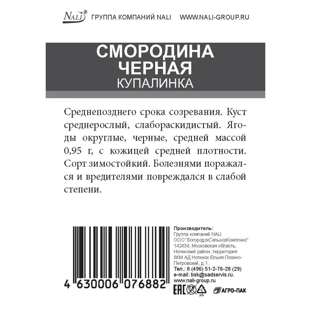 Смородина черная Купалинка ø15 h50 см 85670472 STLM-2131173 Santreyd 