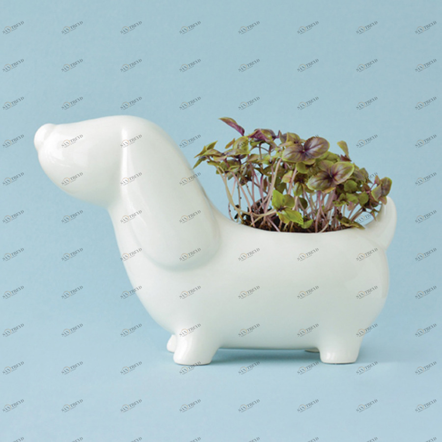 Набор для выращивания eco "Собачка" ЭКОЧЕЛОВЕКИ  254610 Белый 