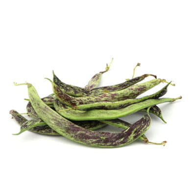 Фасоль стручковая Santreyd 8642 - Вид №1